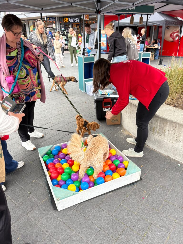Mens & Hond Experience